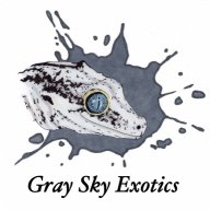 Gray Sky Exotics