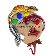 artfulauriculatus